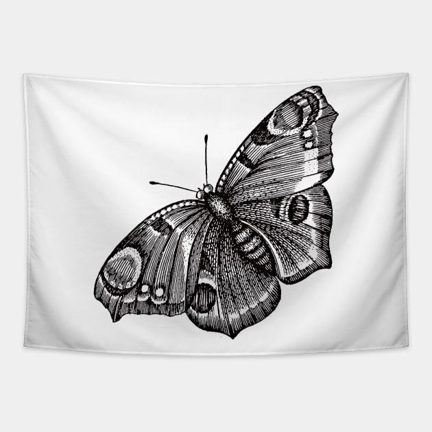 Vintage butterfly tapestry clearance