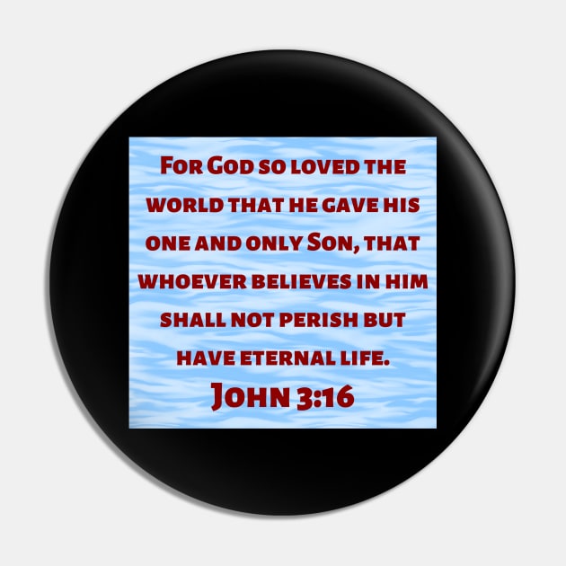 Bible Verse John 3:16 Pin by Prayingwarrior