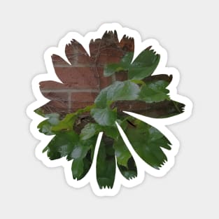 Brick Ivy Flower Magnet