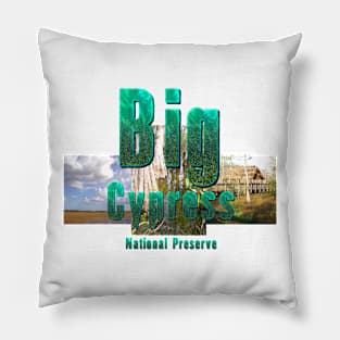 Big Cypress National Preserve Pillow