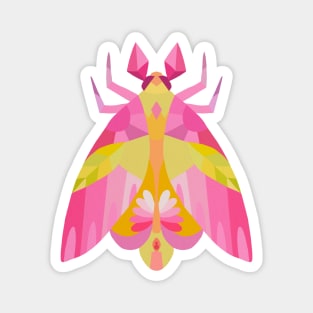 Geometric Pink Maple Moth Insect in Digital Magnet