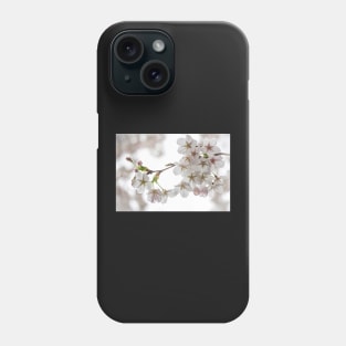 White Cherry Blossom Phone Case