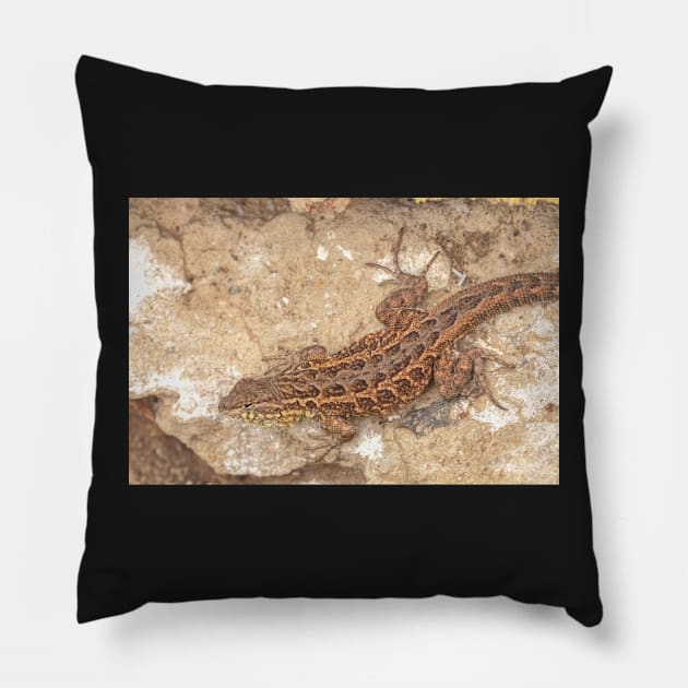 Side Botch Lizard Pillow by jvnimages