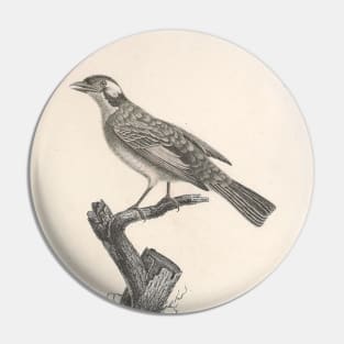 The Palmist Blackbird Young Age Pin