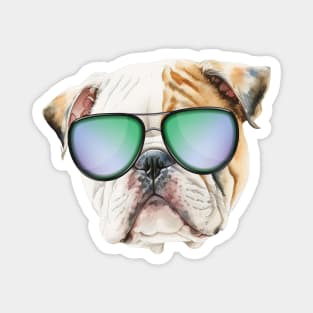 Cute english bulldog with sunglasses, Funny puppy Magnet