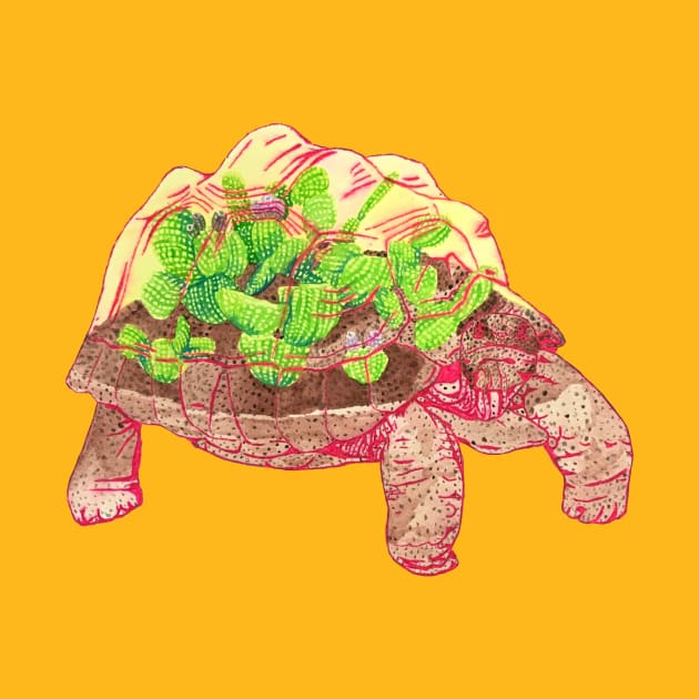 Tortoise Terrarium by RaLiz