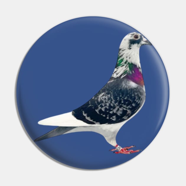 Top Pigeon Pin by Duivensport 