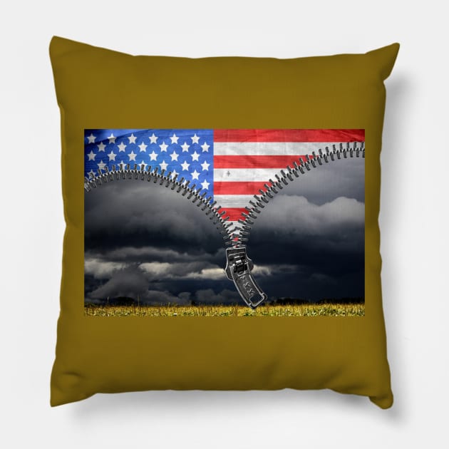 Symbolic of Patriotism Emerging Pillow by numpdog