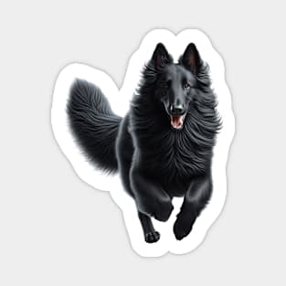 Belgian Sheepdog Magnet