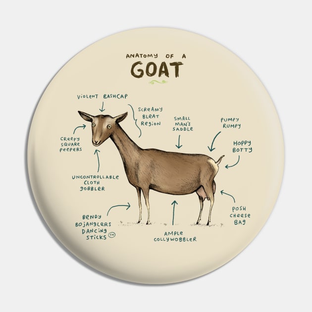 Pin on Goats