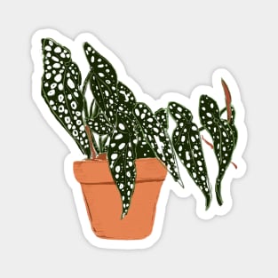 plant mom Magnet