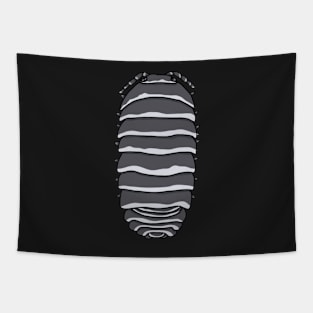 zebra armadillidium species Tapestry