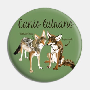 Coyote in love #2 Pin