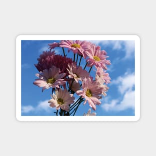 Flowers in the Sky Magnet