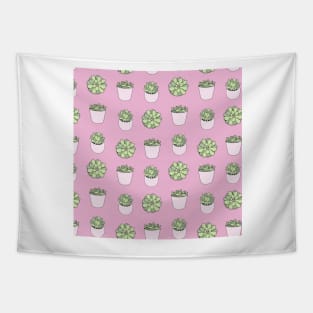 Green suculents in pink flowerpots on darker pink background Tapestry