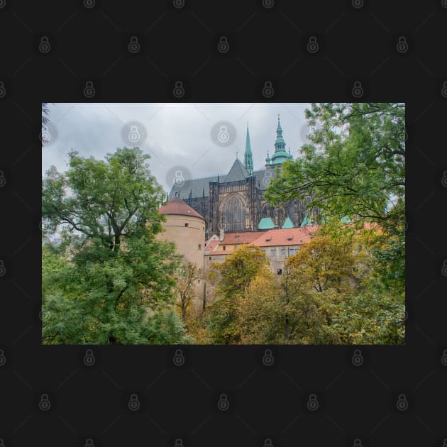 Prague Castle from the Lower Garden by Imagery