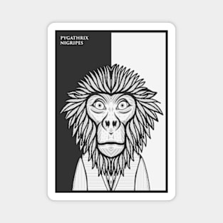 Black Shanked Douc Langur Monkey Magnet