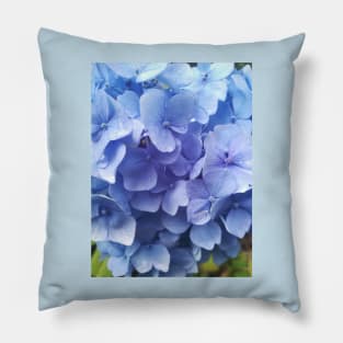 Blue hydrangea photograph Pillow