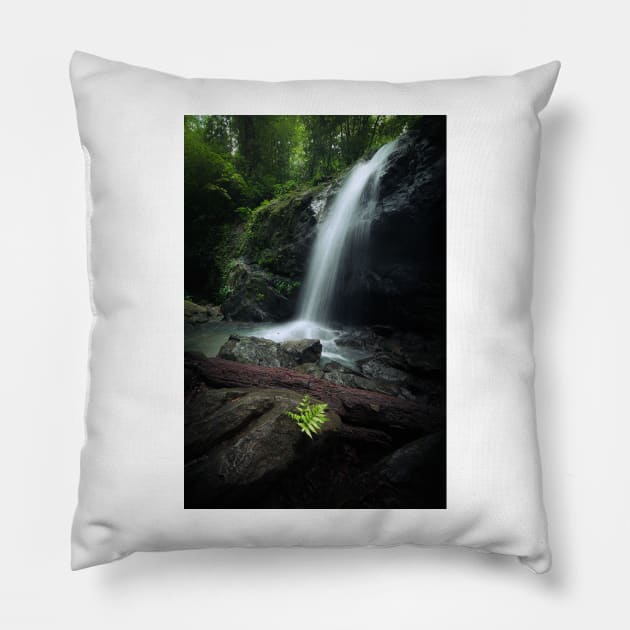 Waterfall and fern in forest Pillow by Juhku