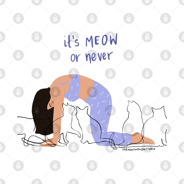 Meow or never by Harmony Willow Studio