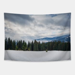 Fir forest on the snowy hills Tapestry