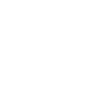 Software Developer Element Magnet