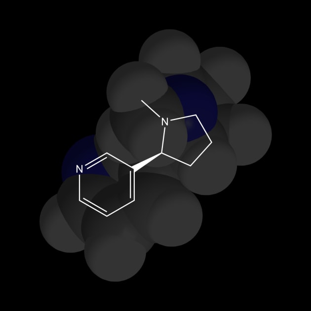 Nicotine Molecule Chemistry by ChemECool