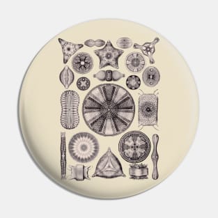 Ernst Haeckel Diatoms Lavender Gray Pin