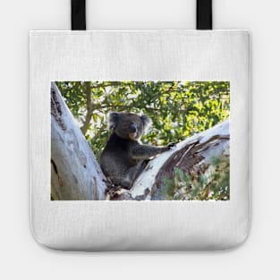 Koala in the Gumtree  - by Avril Thomas Tote