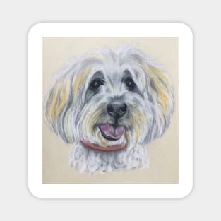 Tibetan Terrier Magnet