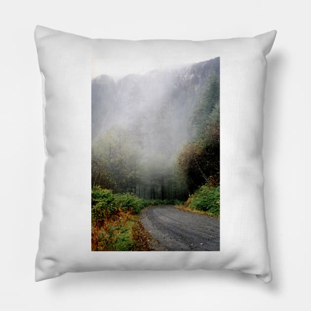 Foggy Mountain Road Pillow by tgass