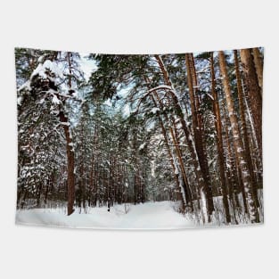 View at the Striginsky Bor Forest Park in Nizhny Novgorod and its pine trees Tapestry