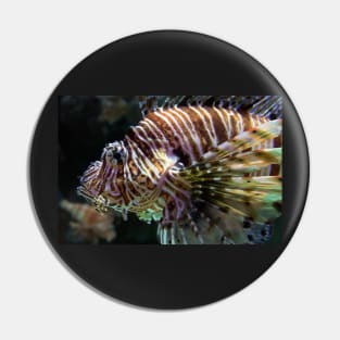 LION FISH Pin