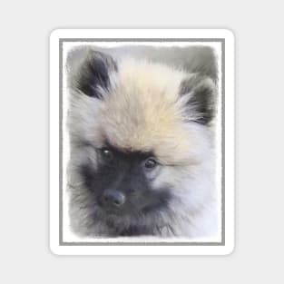 Keeshond Puppy Magnet