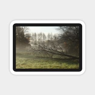 Lake, autumn mood, ground fog, hoarfrost, trees, landscape, Fischerhude, Lower Saxony, Germany Magnet