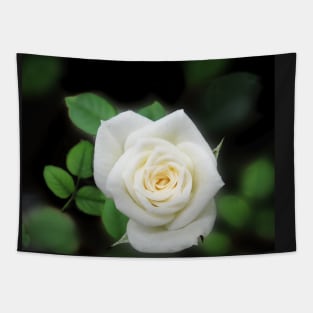 Shabby chic Pale Pink Rose Flower Tapestry