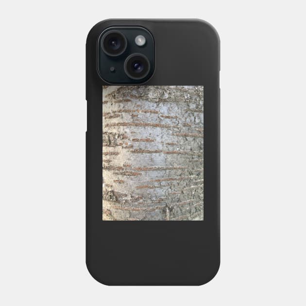 Bark - prunus Phone Case by Dpe1974