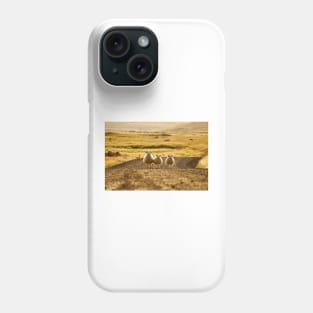 Once Upon a Time in the West Phone Case