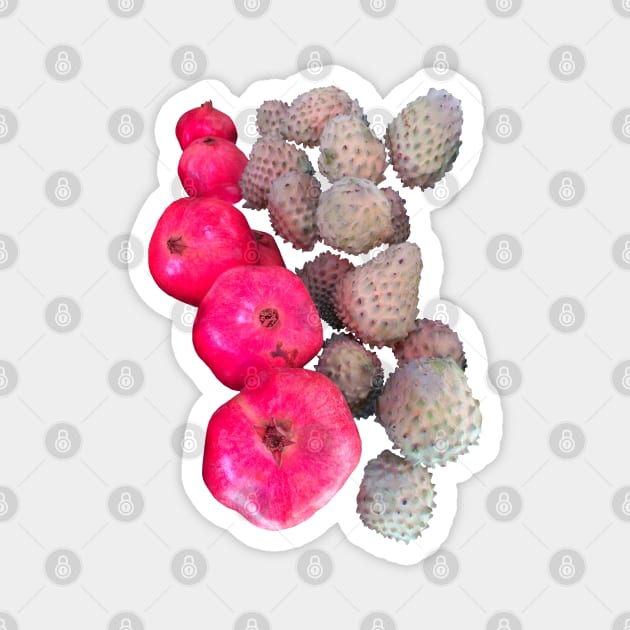 Pomegranate Tropical Fruit Magnet by badlydrawnbabe