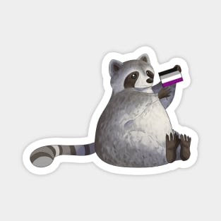 Asexual Pride Raccoon Magnet