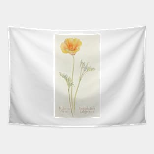 California Poppy - Botanical Illustration Tapestry