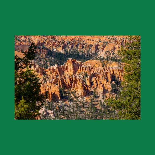 Bryce Canyon View 10 by Rob Johnson Photography