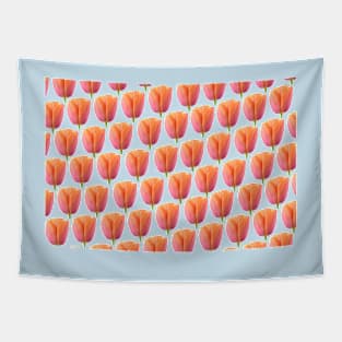 Tulipa  &#39;Orange Dynasty&#39;    Triumph Tulip Tapestry