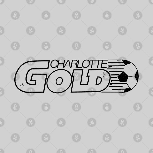 Defunct Charlotte Gold Soccer 1984 by LocalZonly