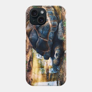 Tortoise Relaxation Time Phone Case