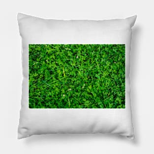 Trifolium Pillow