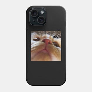 Funny Cute Cat Face Macro Eyes Phone Case