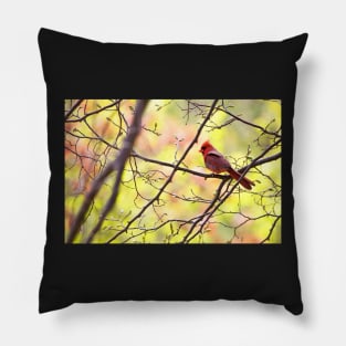 Cardinal Official Pillow