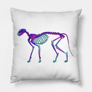 Cat Skeleton Diaphonized Specimen Pillow