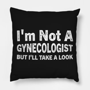 I'm Not A Gynecologist But I'll Take A Look Pillow